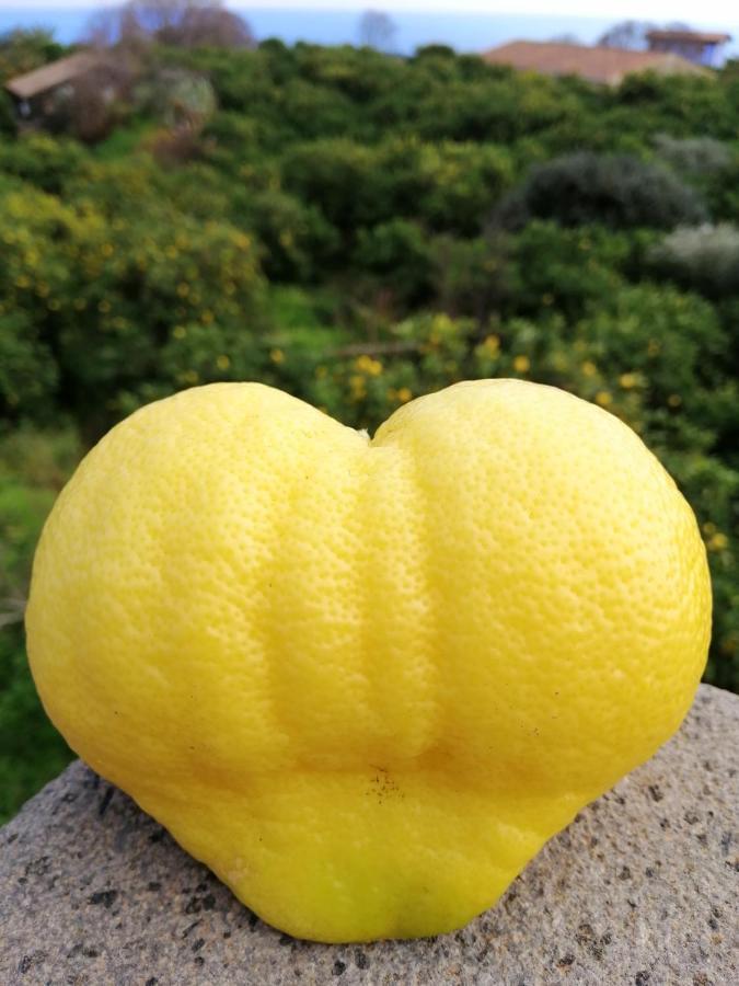 Il Limoneto Acireale Βίλα Εξωτερικό φωτογραφία