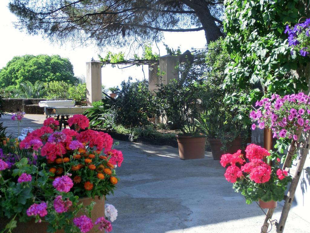 Il Limoneto Acireale Βίλα Εξωτερικό φωτογραφία