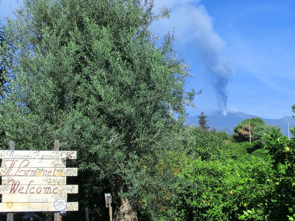 Il Limoneto Acireale Βίλα Εξωτερικό φωτογραφία