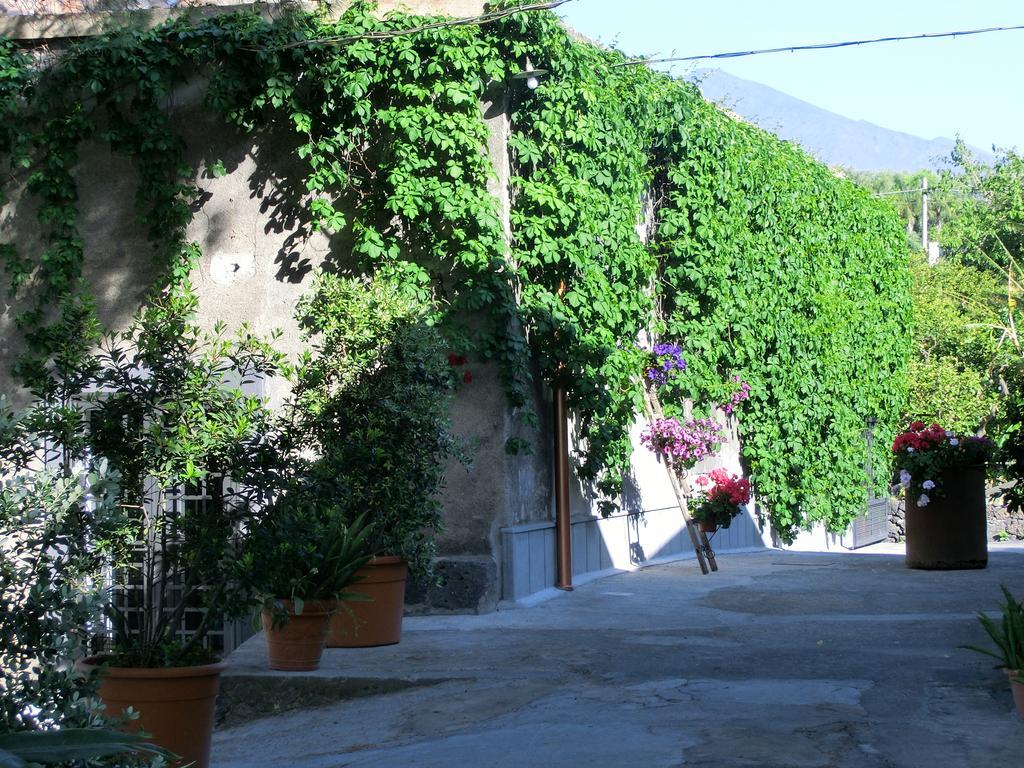 Il Limoneto Acireale Βίλα Εξωτερικό φωτογραφία